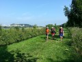 2013-07-18 10_44 014